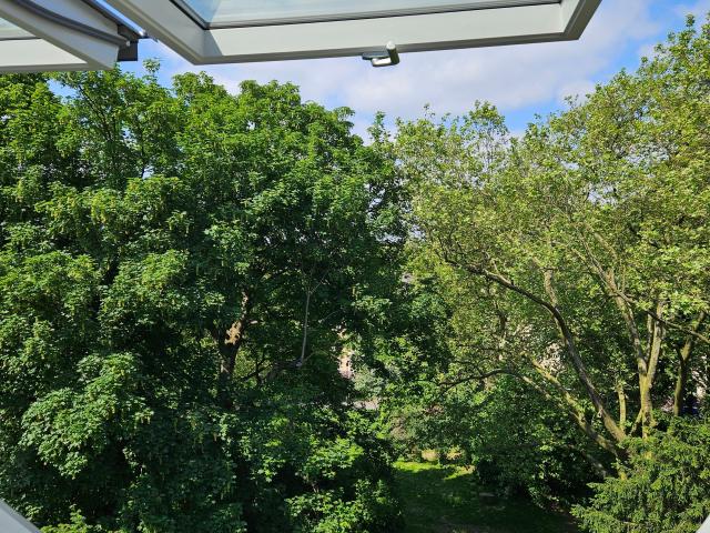 Apartment mieten in Frohnhausen, Essen