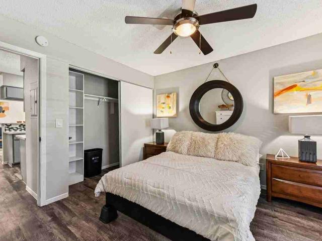 Apartment for rent in Austin, Texas