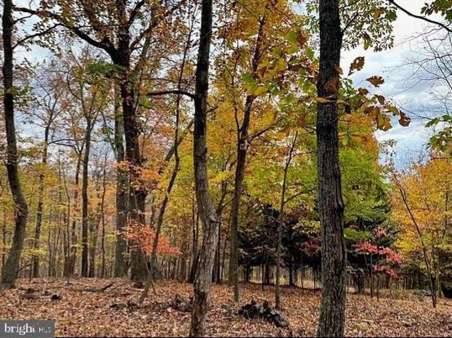 Land for sale in Virginia