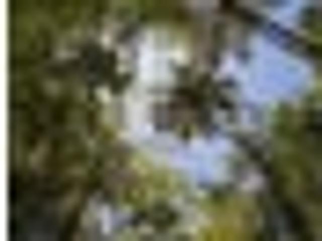 House for sale in Bay Of Plenty