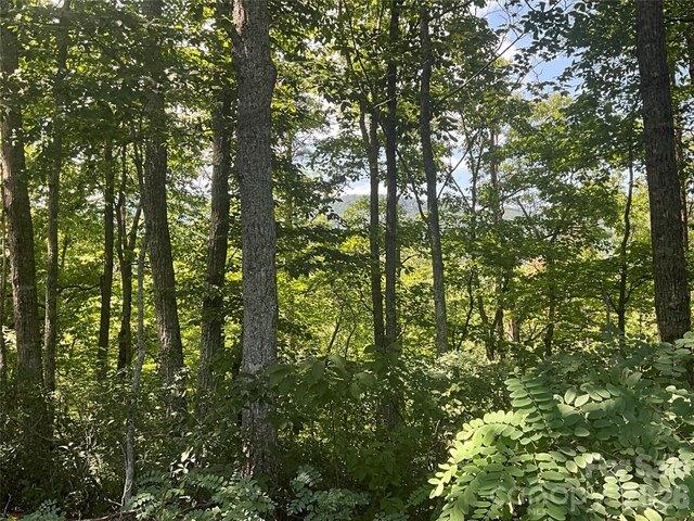 Land for sale in Rutherford, North Carolina