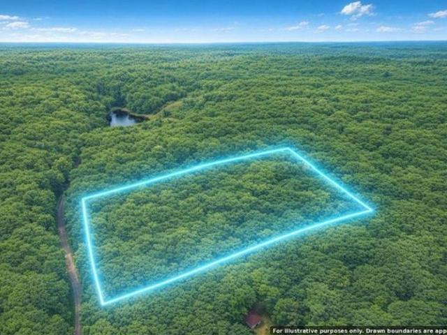 Land for sale in Trego, Wisconsin