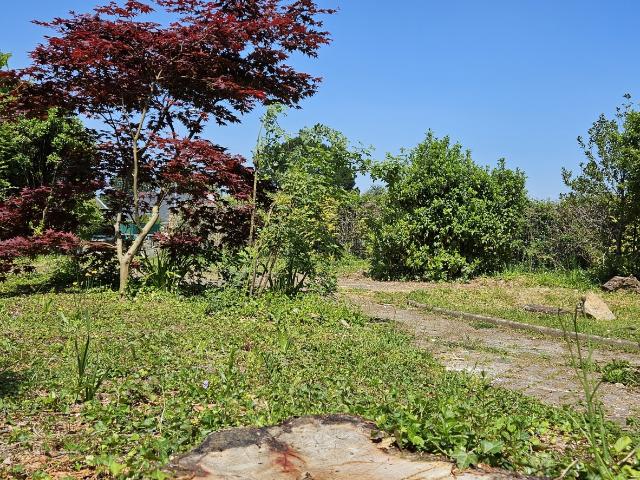 Terrain vente à Châteaubriant-Ancenis, Grandchamps-des-fontaines