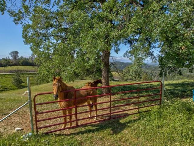 Land for sale in Sutter Creek, California
