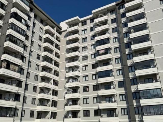 Ordu içerisinde kiralık mülk