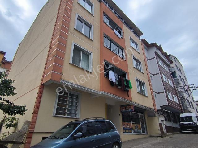 Ordu içerisinde kiralık mülk