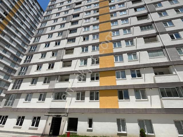 Kuzeykent Mahallesi, Kastamonu Merkez içerisinde kiralık mülk