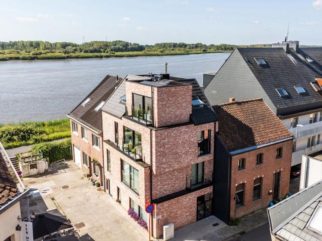 Kot location à Warande, Temse