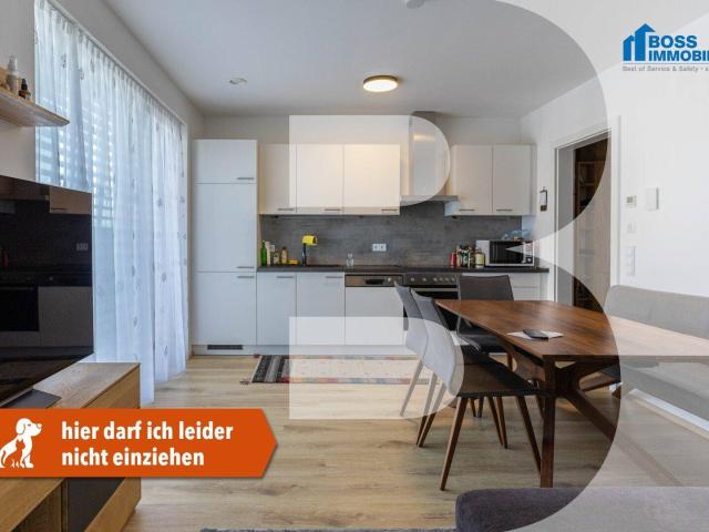 Apartment mieten in St. Dionysen, Traun