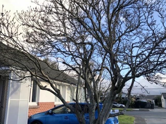 Apartment for rent in Pauatahanui, Wellington