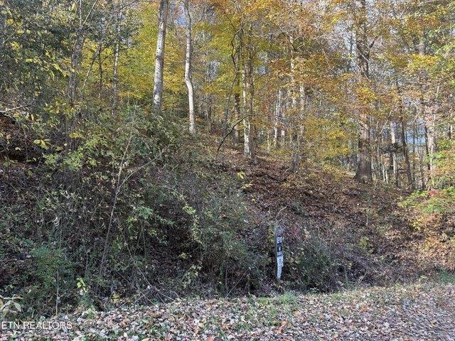 Land for sale in Tennessee