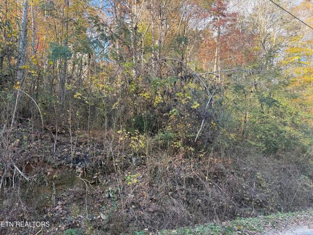 Land for sale in Tennessee