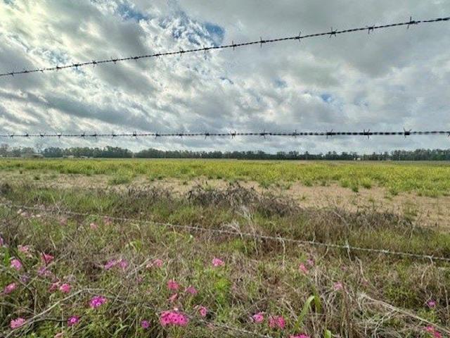 Land for sale in Trenton, Florida