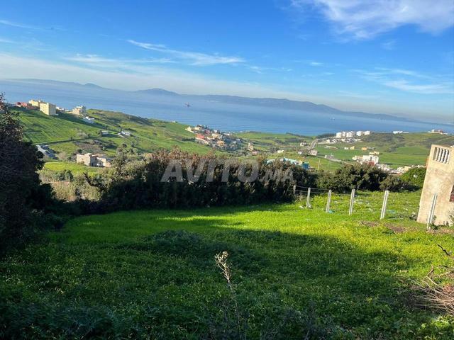 Propriété vente à El Fahs, Tanger-Tétouan