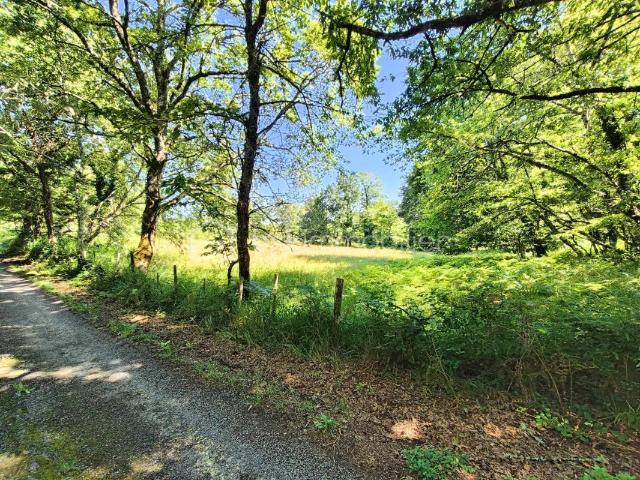 Terrain vente à Sarlat-la-Canéda, Larzac