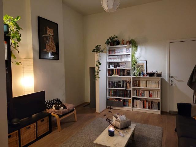 Appartement location à Salzinnes, Namur