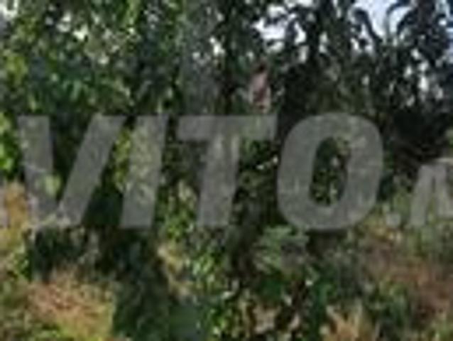 Propriété vente à Salé