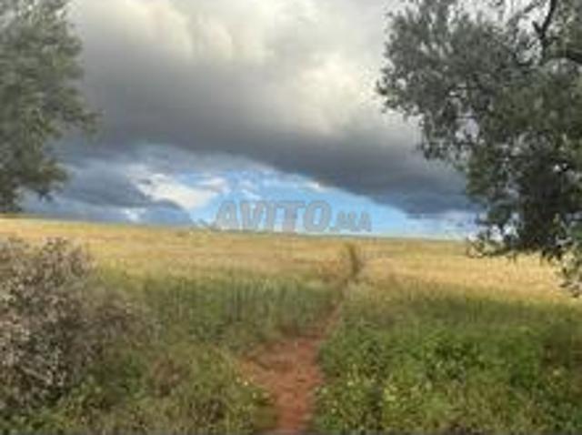 Propriété vente à Meknès