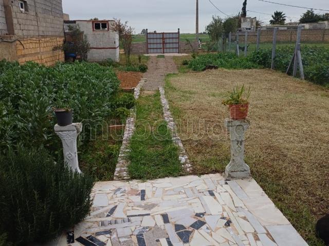Maison vente à El Ma, Gharb-Chrarda-Beni Hssen