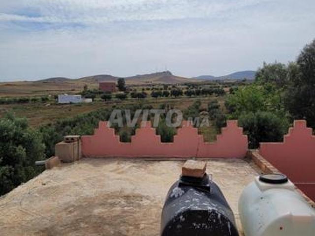 Propriété vente à Berkane