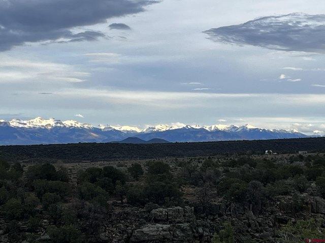 Land for sale in Montrose, Colorado