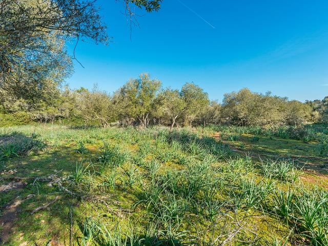 Chalet en venta en Crist Rei, Raiguer