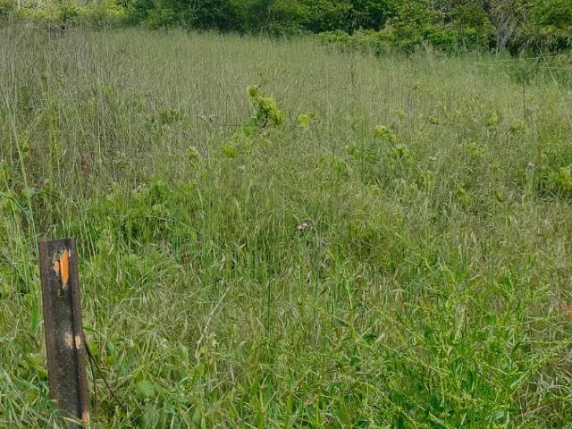 Terreno en venta en El Bierzo, Castilla y León