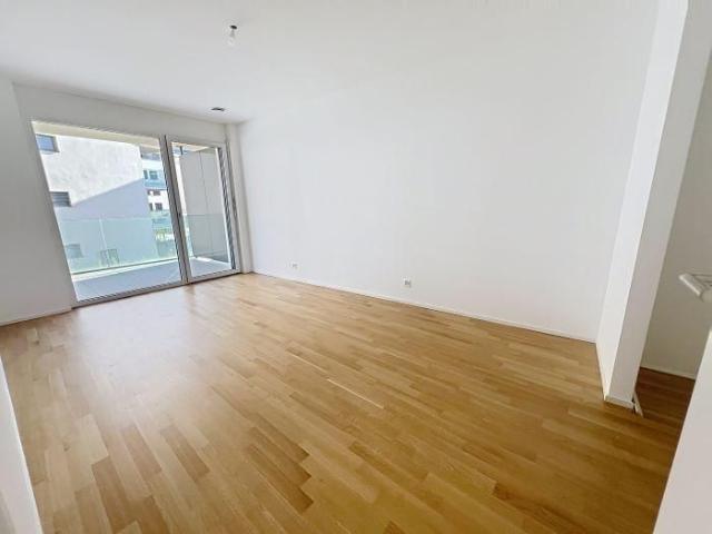 Apartment mieten in Sion