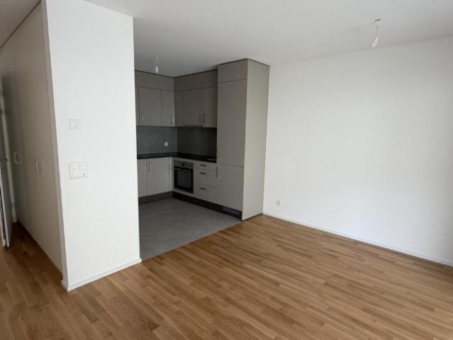 Apartment mieten in Les Mayens-de-Sion, Wallis