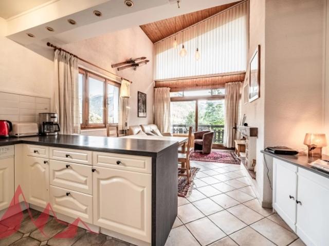 Appartement vente à Thonon-les-Bains, Morzine