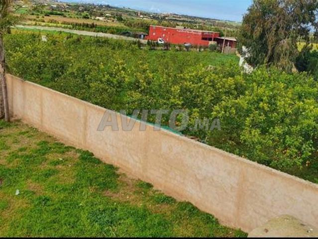 Propriété vente à El Ma, Gharb-Chrarda-Beni Hssen