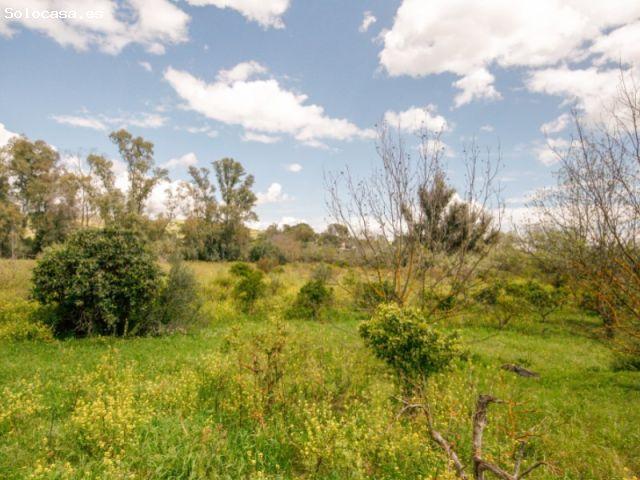 Casa en venta en Miravalle Los Montecillos, Valle del Guadalhorce
