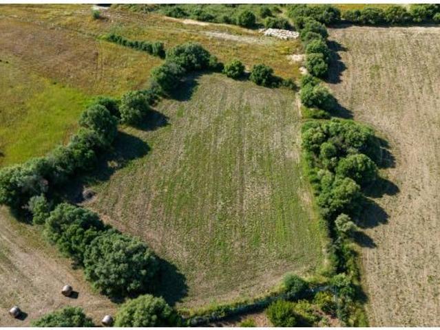Local Comercial en venta en Pla de Mallorca, Baleares