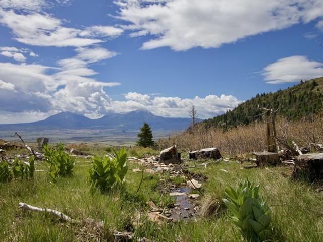 Land for sale in La Veta, Colorado