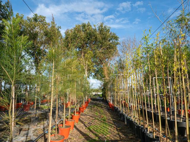 Vivenda venda em Beja (Salvador e Santa Maria da Feira), Beja