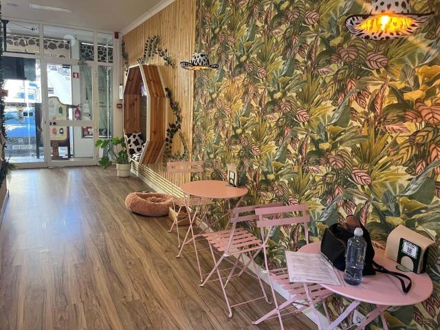 Loja venda em Moinho Encarnado, Sintra