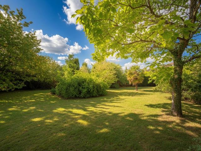 Maison vente à Fontainebleau, Treuzy-levelay