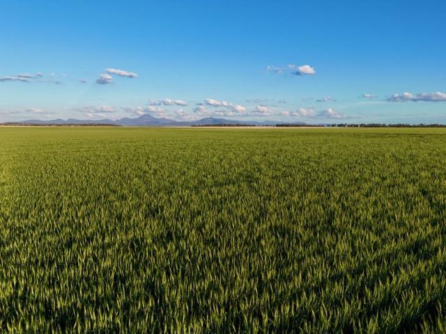 Cottage for sale in Bellata, New South Wales