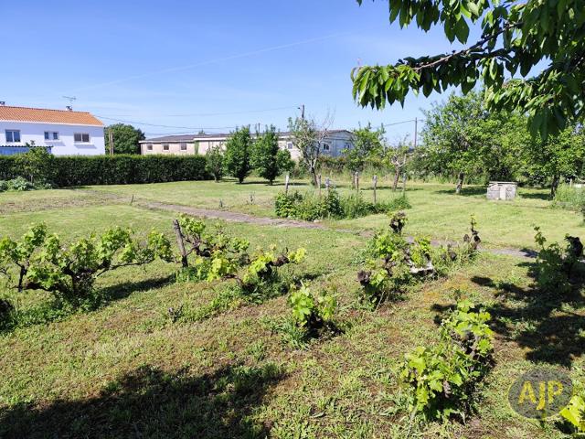 Terrain vente à Fontenay-le-Comte, Triaize