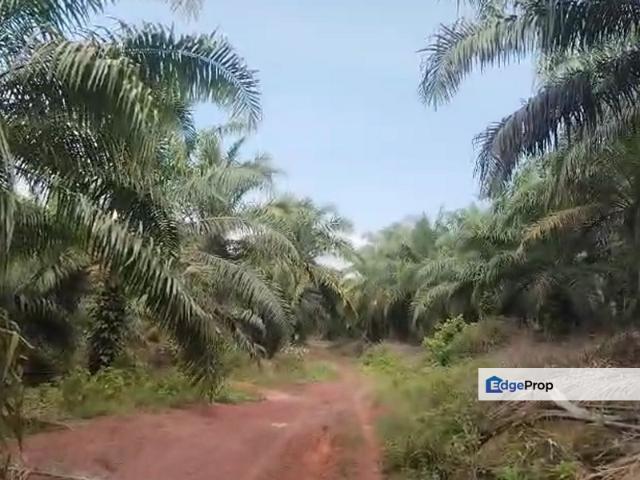 Shop for sale in Triang, Pahang