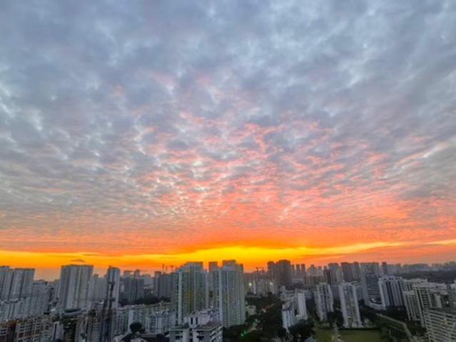 Condominium for sale