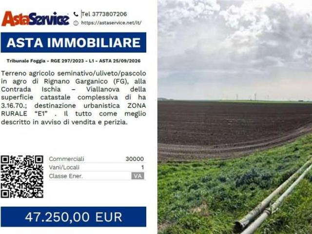 Terreno in vendita a Puglia, Foggia