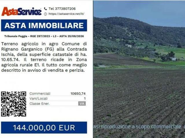 Terreno in vendita a Puglia, Foggia