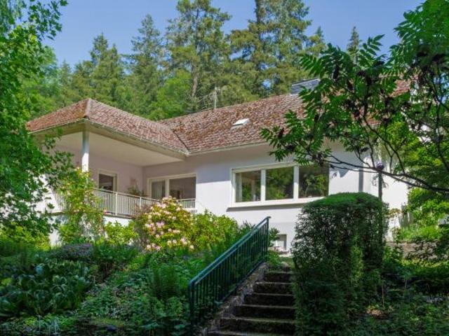 Haus kaufen in Trier, Rheinland-Pfalz