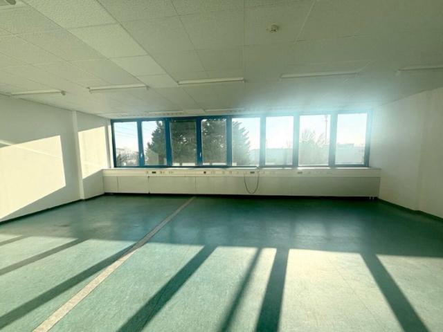 Büro kaufen in Wiener Neudorf, Niederösterreich