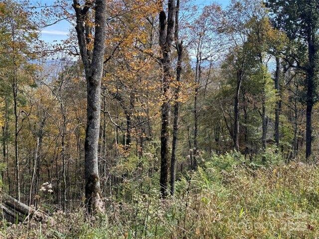 Land for sale in Yancey, North Carolina