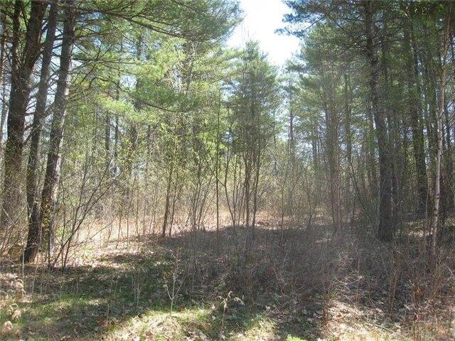 Land for sale in Waldo, Maine