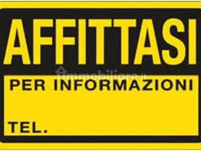 Appartamento in affitto a San Giorgio Delle Pertiche, Veneto