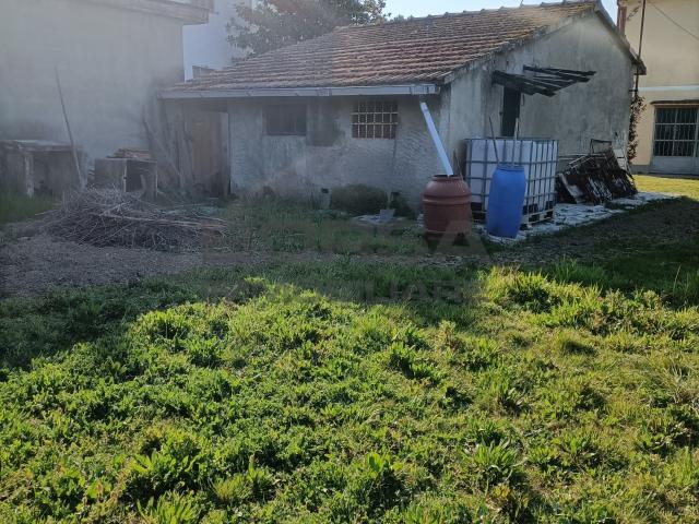 Appartamento in vendita a Collesalvetti, Livorno