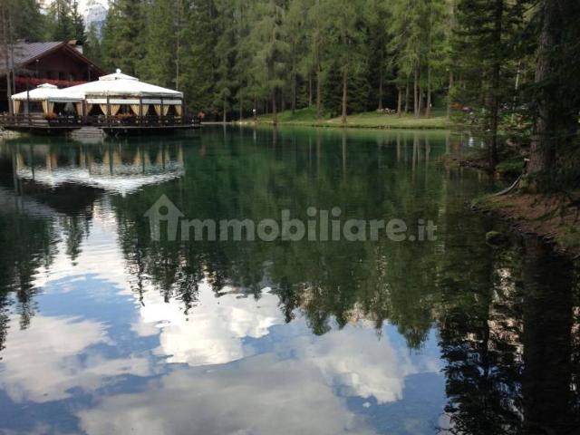 Appartamento in affitto a Valdilana, Piemonte